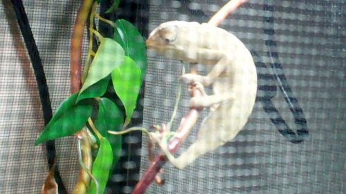 Untitled 0 00 27-21.jpg