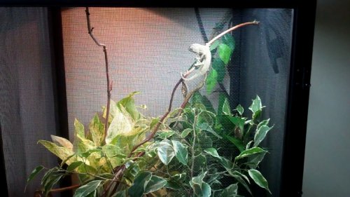 Untitled 0 00 44-35.jpg