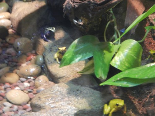 DSCN0418.jpg