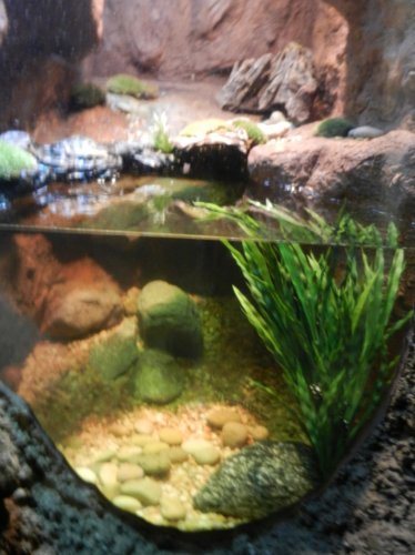 DSCN0406.jpg