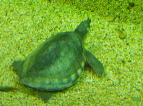 DSCN0430.jpg