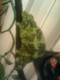 2012-01-26_02_30_14.jpg
