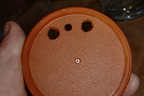 cricket holes in lid.JPG