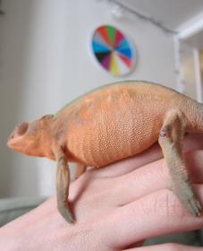 Screen shot 2012-04-15 at 4.03.59 PM.jpg