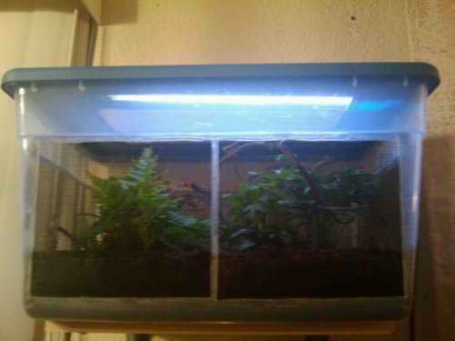 2012-04-15_22_38_45.jpg