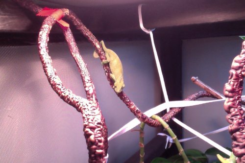 Photo on 4-16-12 at 3.13 PM #3.jpg