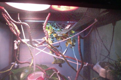 Photo on 4-16-12 at 3.11 PM.jpg