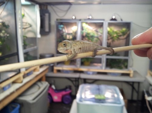 20120417_173606.jpg