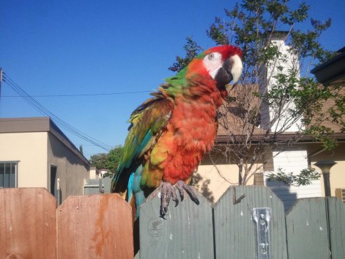 2012-04-17 17.20.06.jpg