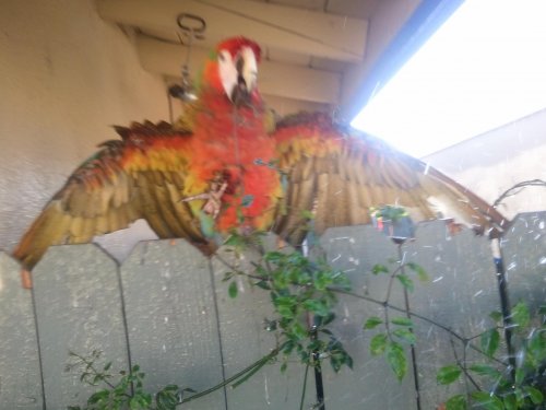 2012-04-17 17.22.46.jpg