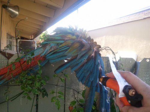 2012-04-17 17.23.37.jpg