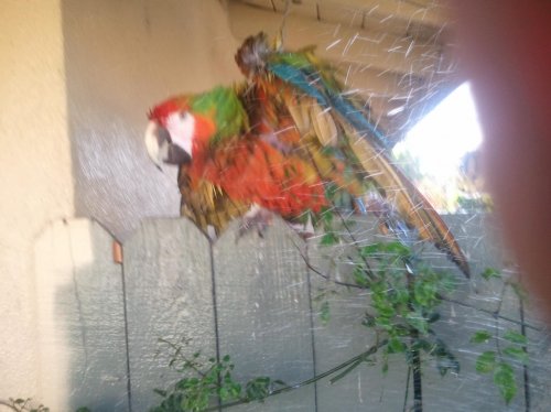 2012-04-17 17.23.02.jpg