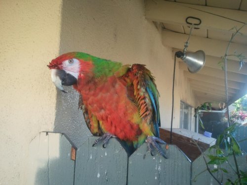 2012-04-17 17.22.15.jpg