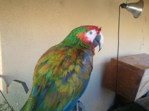 2012-04-17 17.24.23.jpg