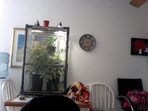 Photo on 2012-04-18 at 15.09.jpg