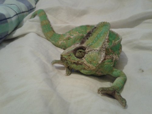 2012-04-20 20.35.44.jpg