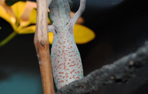 DSC_0474.jpg