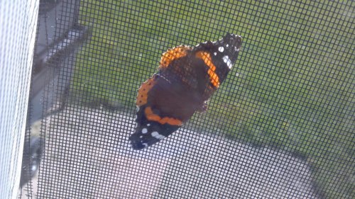 2012-04-21_09-44-16_368.jpg