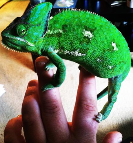 photo (4)resized.jpg