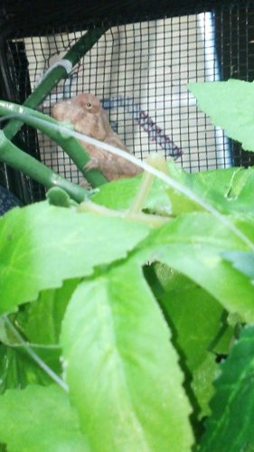 2012-04-22_11-56-45_956.jpg