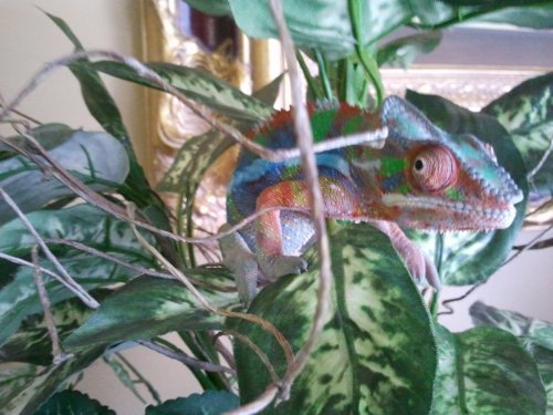 2012-04-22 12.20.15.jpg