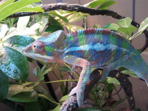 2012-04-14 16.19.45.jpg