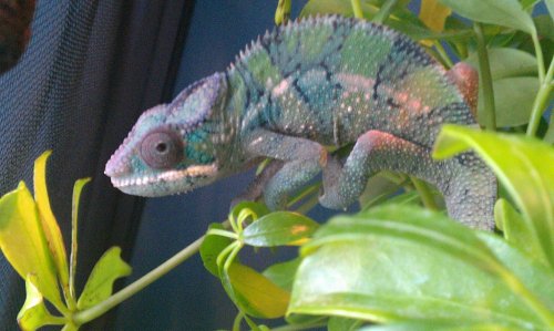 IMAG0122.jpg