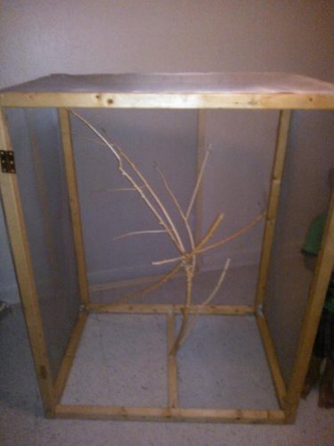 cage7.jpg