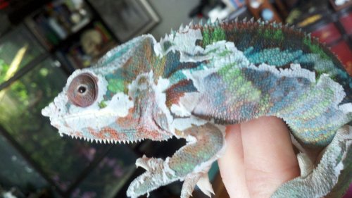 2012-03-29_15-33-58_562.jpg