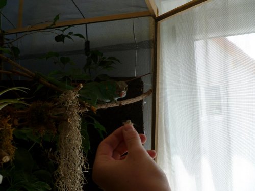 P1020138.JPG