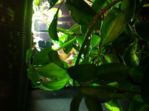 photo-4.jpg