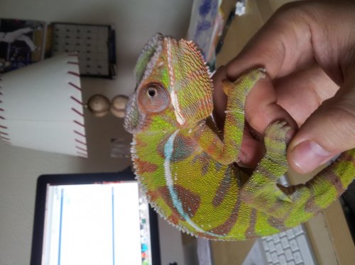 20120425_150218.jpg