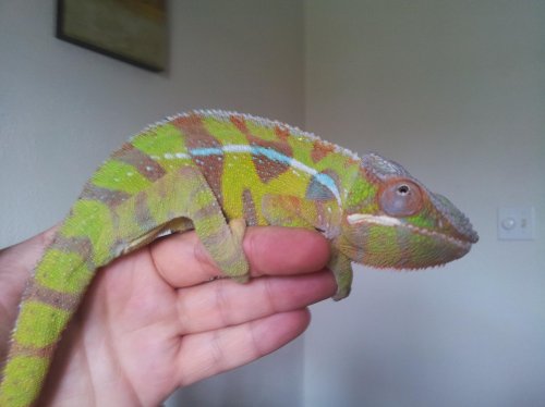 20120425_150321.jpg