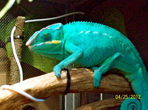 106_0196.jpg