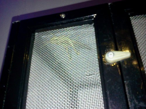 2012-04-25 16.41.47.jpg