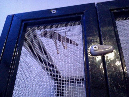 2012-04-25 16.42.02.jpg