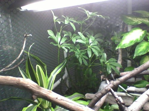 2012-04-22-235501.jpg 2012-04-22-235501.jpg