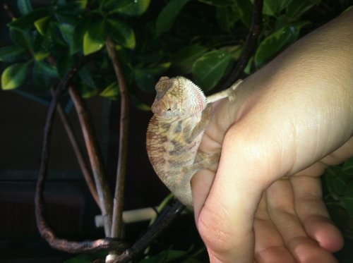 Benetton1.jpg