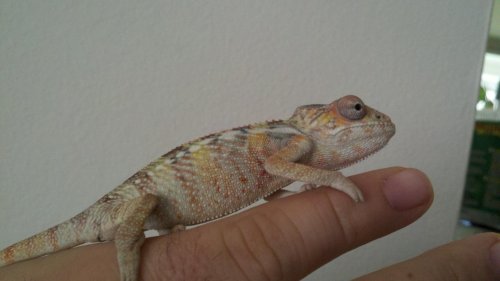 2012-04-27_10-41-41_717.jpg