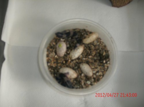 GEDC0574.jpg