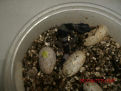 GEDC0575.jpg