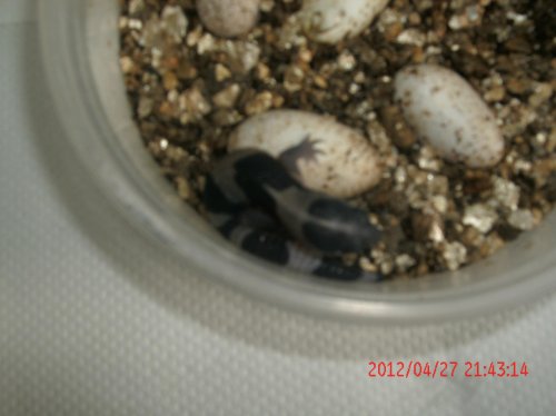 GEDC0576.jpg