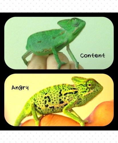 Photo Apr 27, 11 54 04 AM.jpg