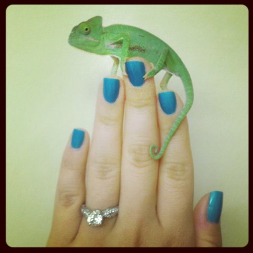 Photo Apr 22, 11 46 59 AM.jpg