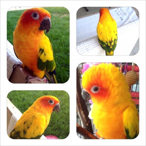 Photo Feb 29, 1 17 29 PM.jpg