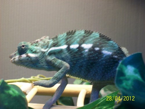 102_1176.jpg