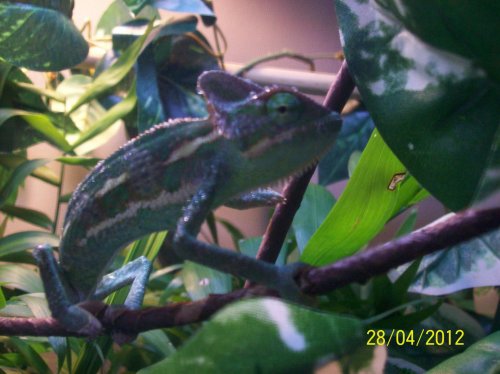 102_1170.jpg