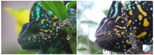 mom and daughter.jpg