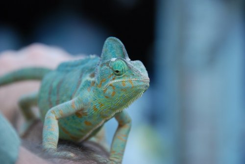 Abbey Road 199_resize.jpg