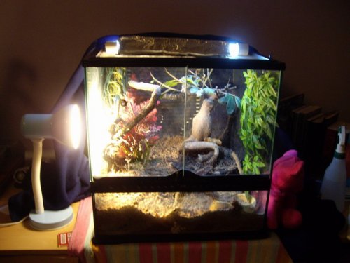 george 021_resize.jpg